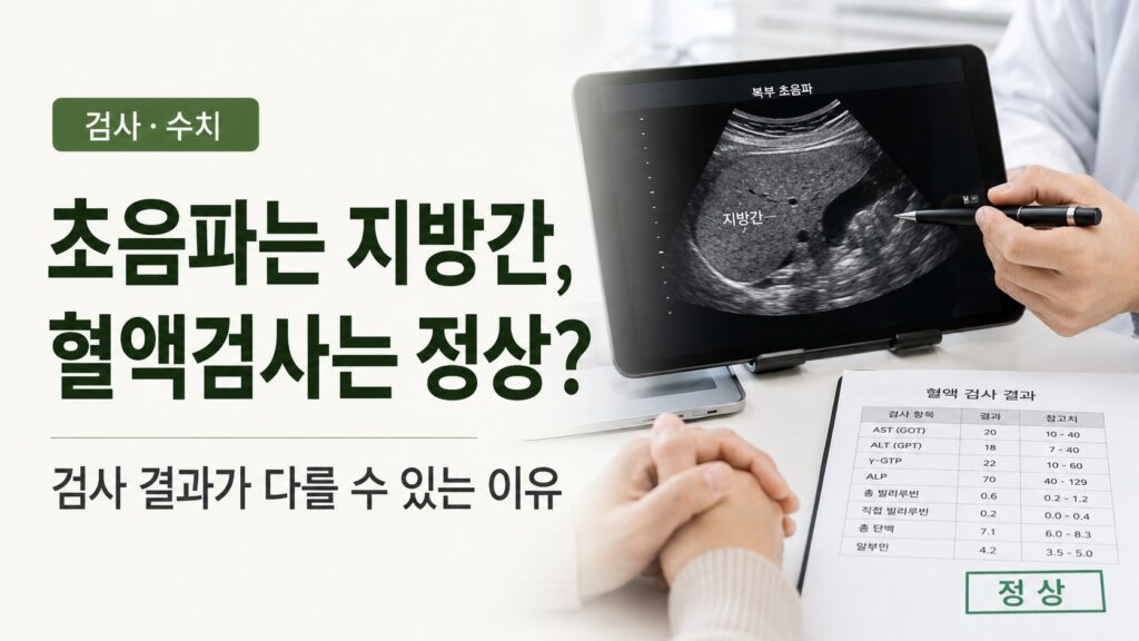 정상 간수치 결과와 지방간 초음파 소견을 함께 설명하는 진료 장면