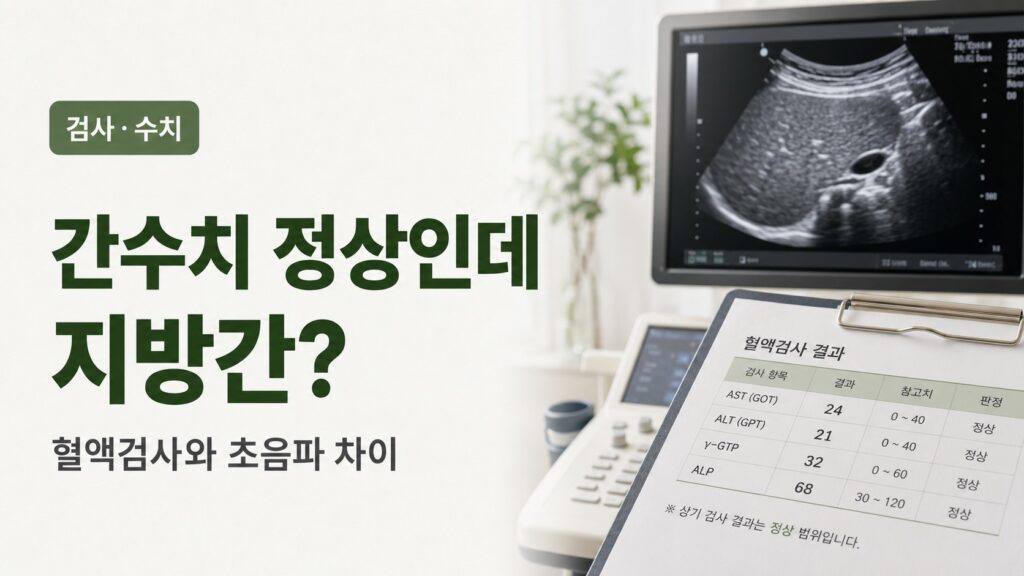 혈액검사 결과와 복부 초음파 결과를 함께 확인하는 진료 상담